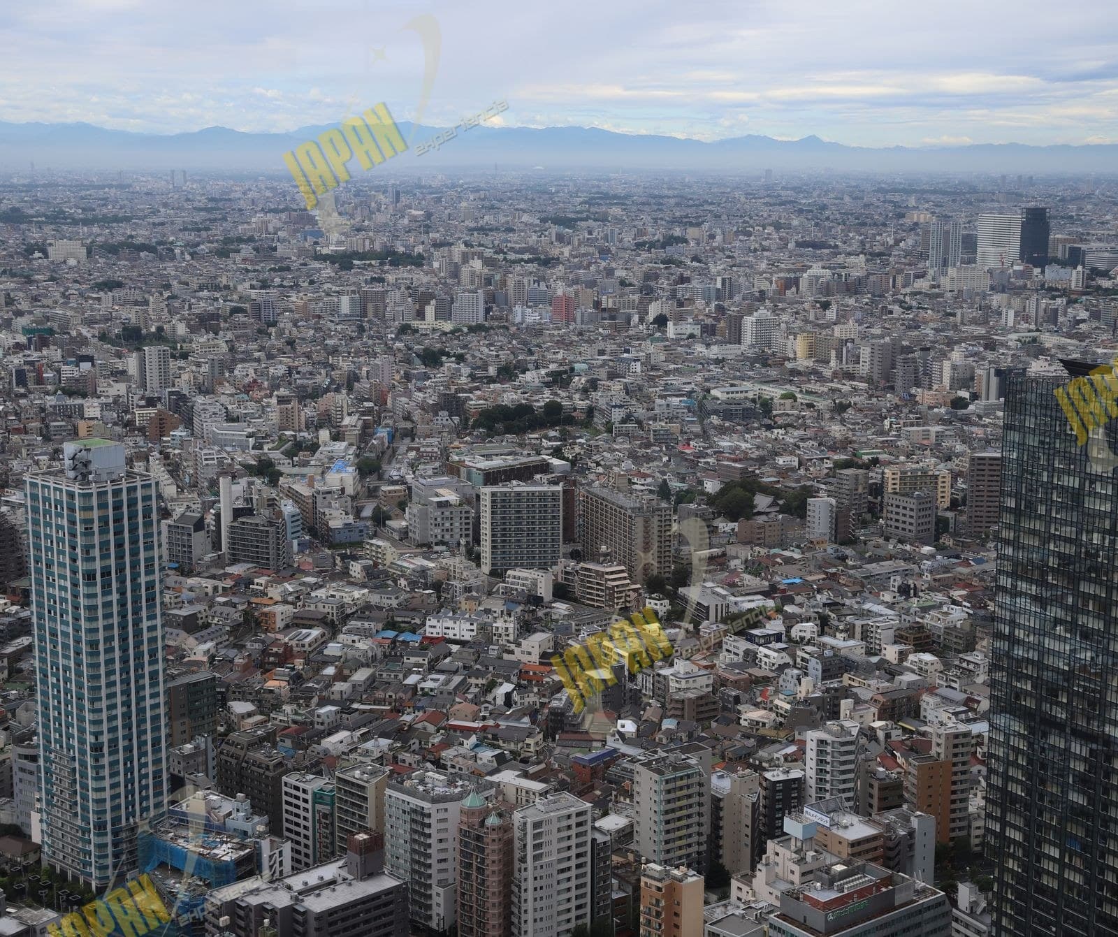 EXPERIENCIA SETAGAYA 2